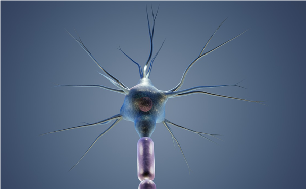 科學家馴服寄生蟲幫人類治?。嚎蓴y帶藥物進入大腦