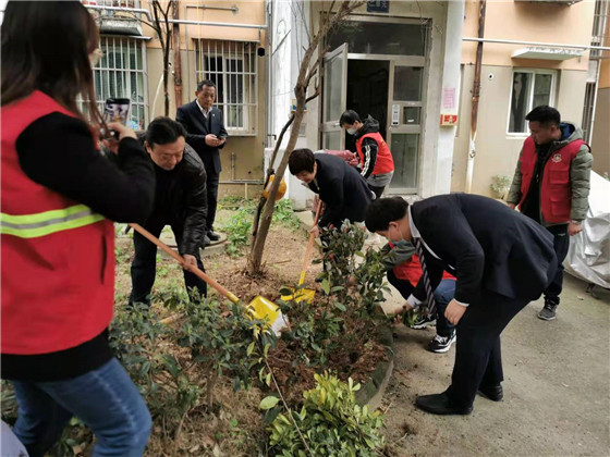 馨康苑社區(qū)黨總支開展“結對共建”義務植樹活動