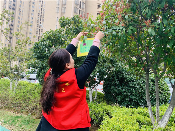 蛇盤社區(qū)黨總支： 愛綠護(hù)綠志愿行