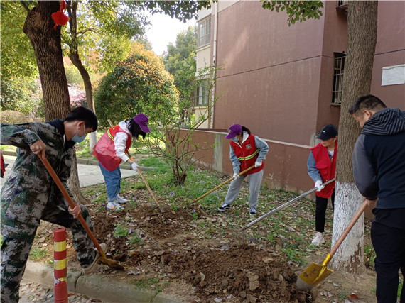 馨康苑社區(qū)開展“牽手共建”綠化修補(bǔ)行動(dòng)