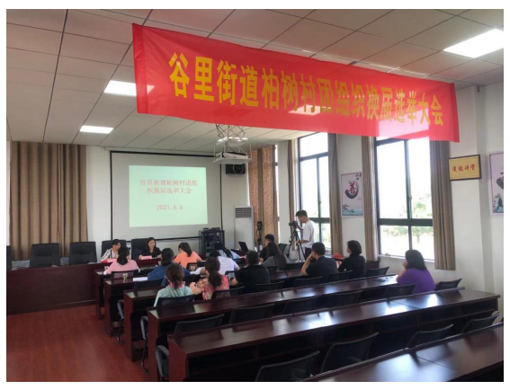 谷里街道柏樹(shù)村順利完成團(tuán)組織換屆選舉工作