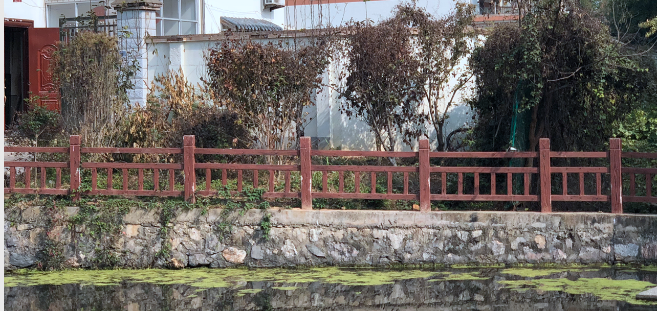 池塘邊的集體土地被人用來(lái)栽種果樹，還設(shè)置了柵欄。南報(bào)融媒體記者胥欣攝