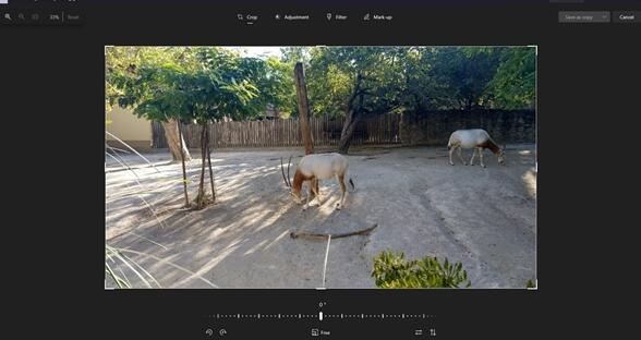 功能更強(qiáng)大！Win11照片應(yīng)用迎來更新：圖片編輯獲得重新設(shè)計(jì)