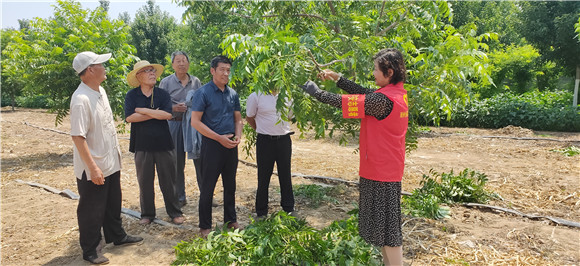 邳州農(nóng)業(yè)技術(shù)專家深入鄉(xiāng)村傳授實用技術(shù)助力鄉(xiāng)村振興