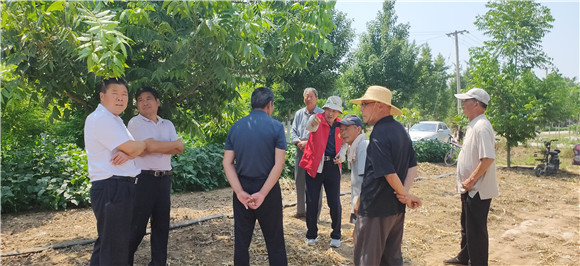 邳州農(nóng)業(yè)技術(shù)專家深入鄉(xiāng)村傳授實用技術(shù)助力鄉(xiāng)村振興